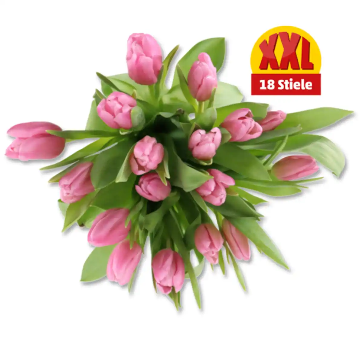 Bild 1 von Tulpen Multipack*