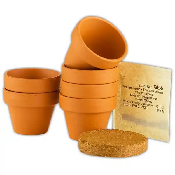 Bild 2 von Finest Garden Mini-Gewächshaus