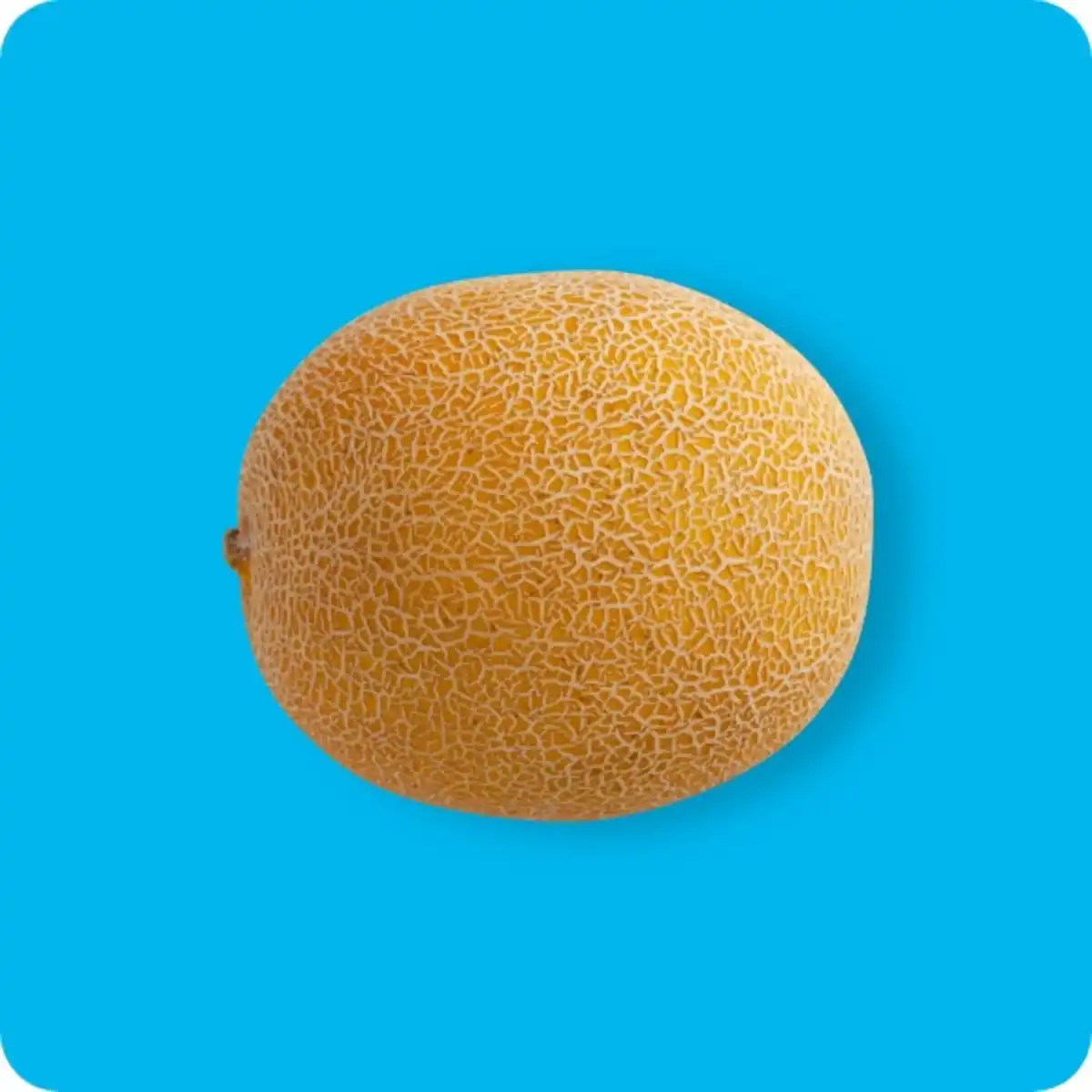 Bild 1 von   Galia Melone, Ursprung: Brasilien / Costa Rica; Klasse I; lose; kg-Preis