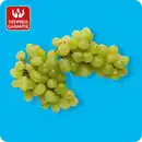 Bild 1 von   Trauben, hell, Ursprung: siehe Etikett; Klasse I; kernlos; 500-g-Schale; kg-Preis 3.38