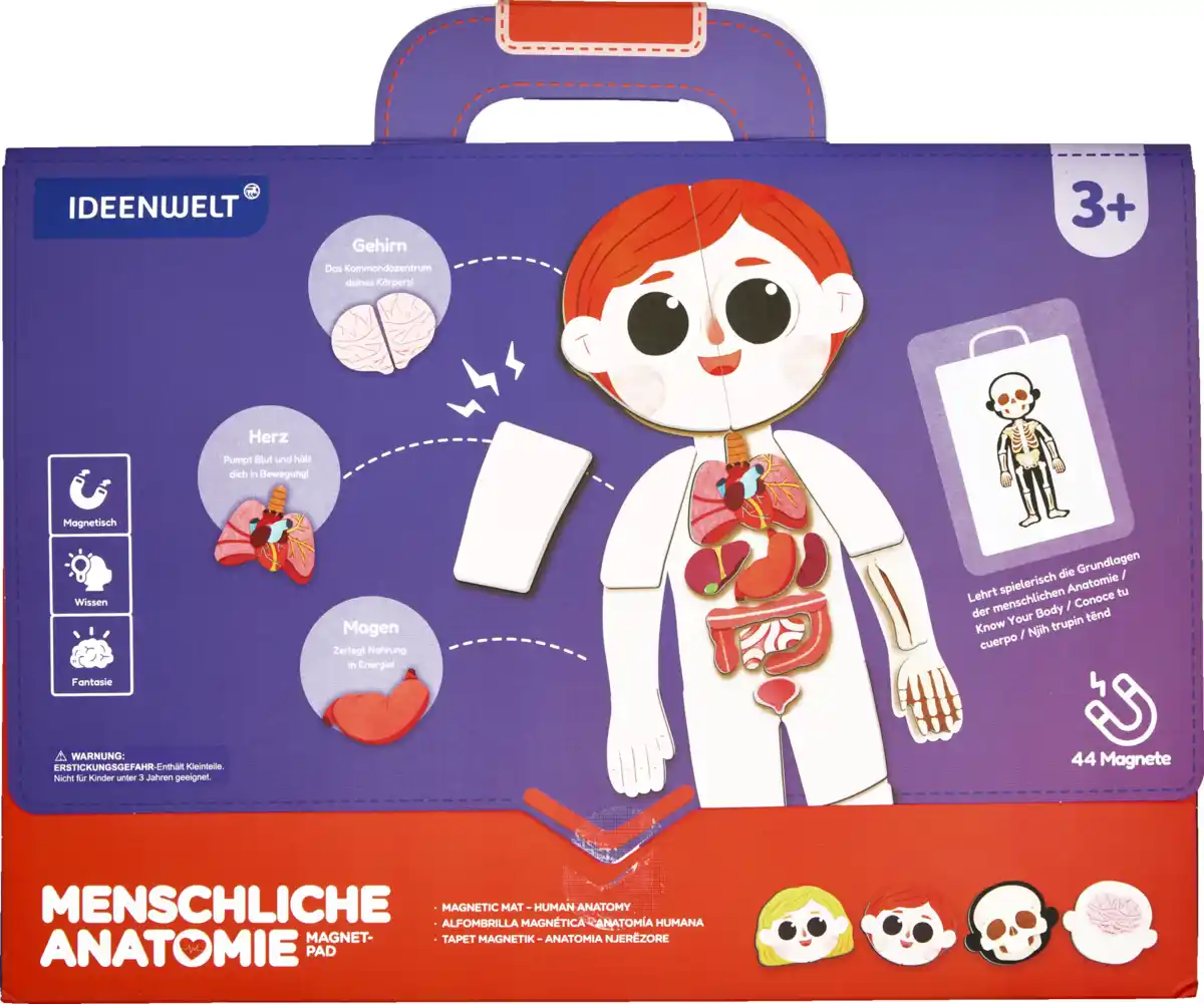Bild 1 von IDEENWELT Magnetbuch Menschliche Anatomie