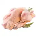 Bild 1 von Frisches Perlhuhn