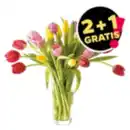 Bild 1 von Tulpenstrauß
