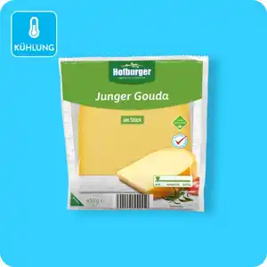HOFBURGER Gouda, jung