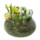 Bild 2 von GARDENLINE Frühlingsschale