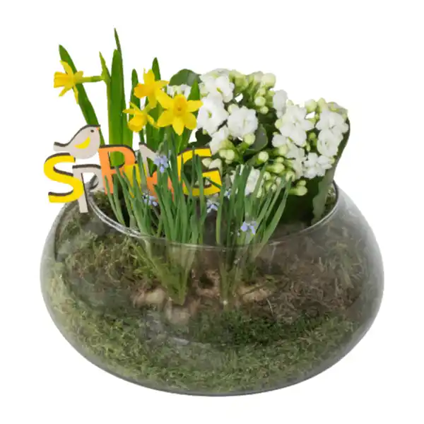 Bild 2 von GARDENLINE Frühlingsschale