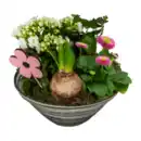 Bild 4 von GARDENLINE Frühlingsschale