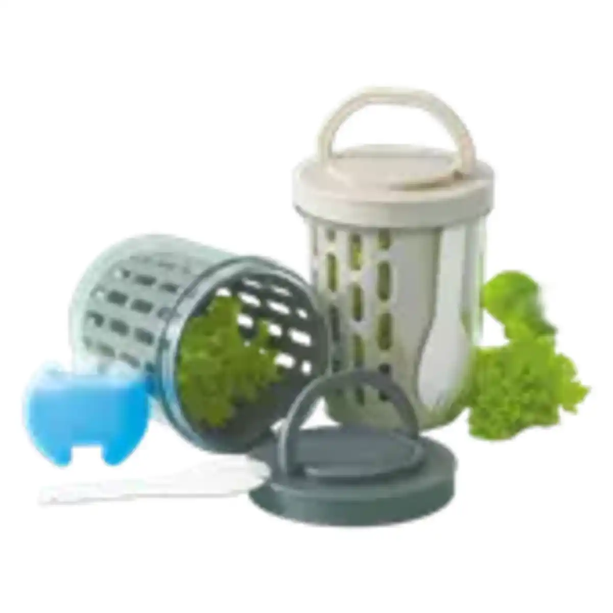 Bild 1 von Nord Salatbecher to go