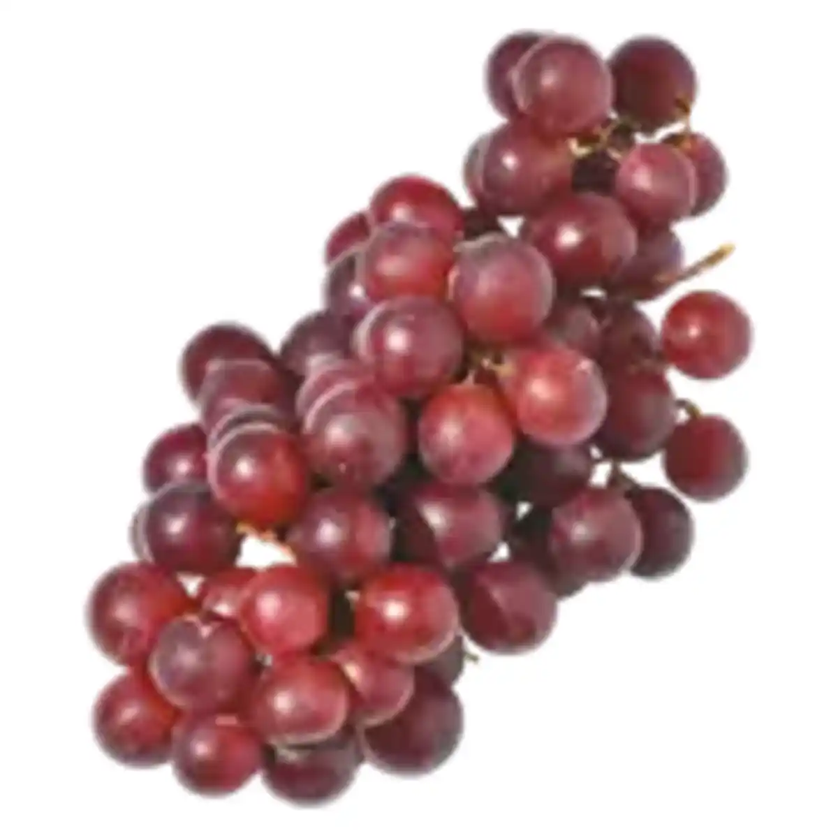 Bild 1 von Trauben kernlos
