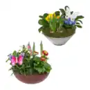 Bild 1 von GARDENLINE Frühlingsschale
