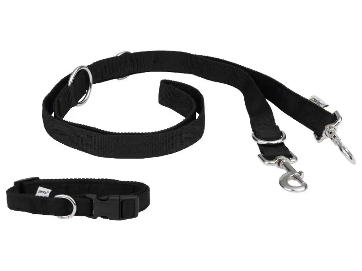 Bild 2 von zoofari® Hundehalsband mit Hundeleine / Schleppleine