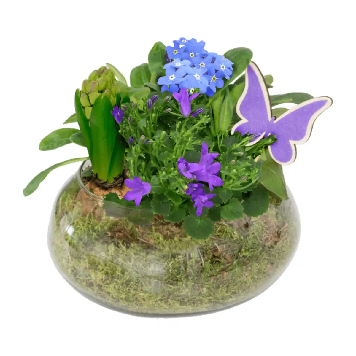 Bild 3 von GARDENLINE Frühlingsschale