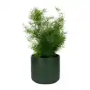 Bild 2 von GARDENLINE Grüne Wohn-Oase