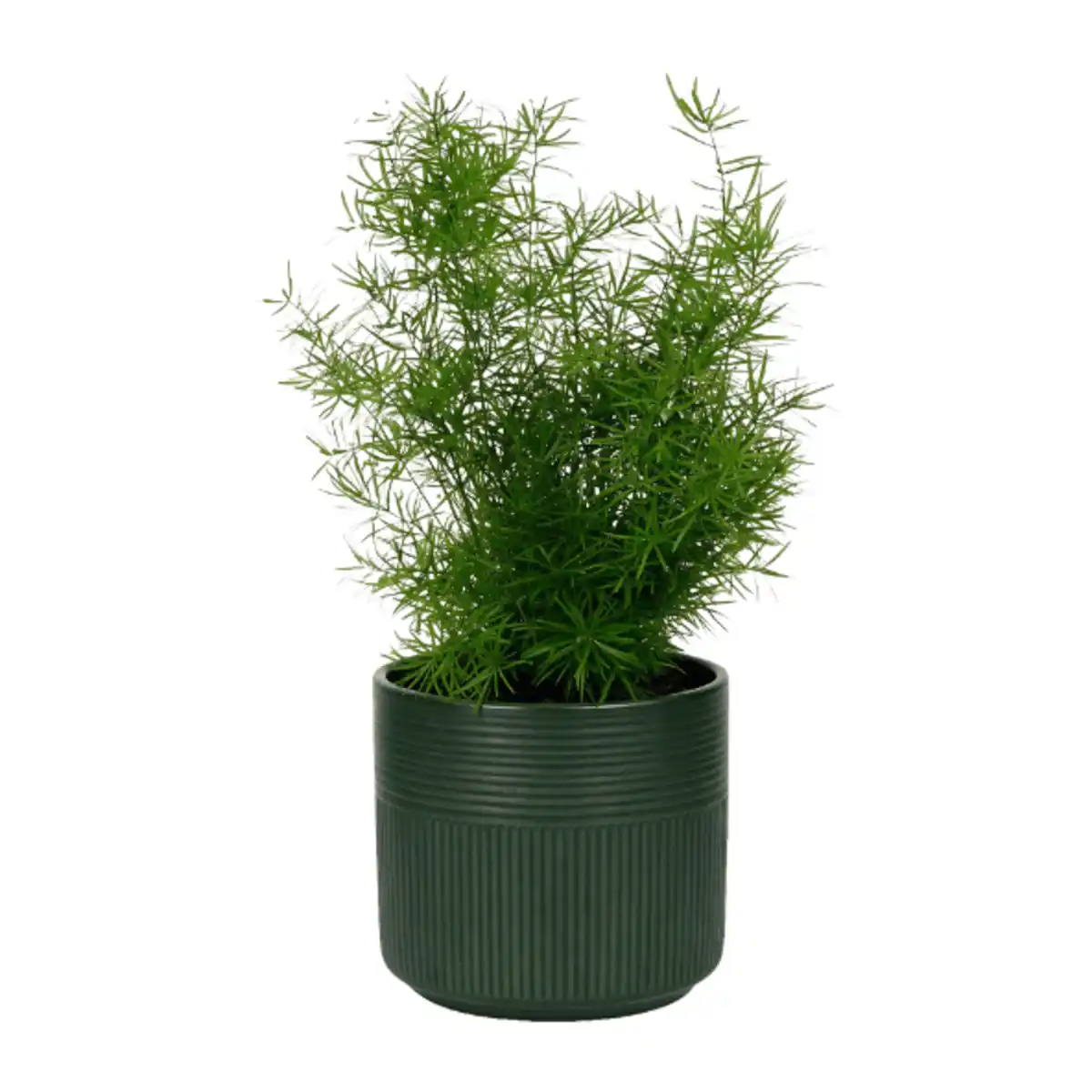 Bild 2 von GARDENLINE Grüne Wohn-Oase