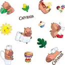 Bild 2 von Soled Toilettenpapier