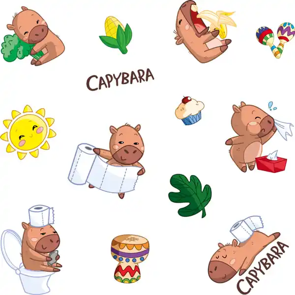 Bild 2 von Soled Toilettenpapier