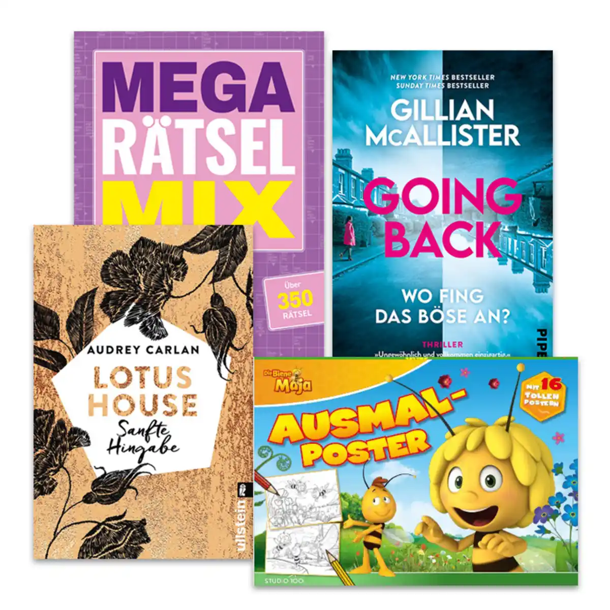 Bild 1 von Roman, Rätsel oder Ausmalposter