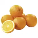 Bild 1 von Riesenorangen