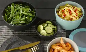 Mepal Multischüssel Cirqula