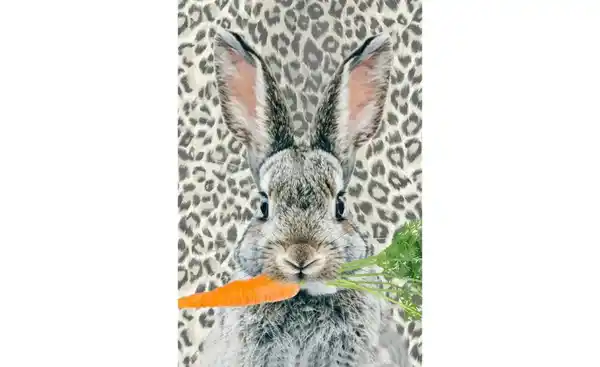 Bild 4 von Apelt Kissenhülle