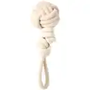 Bild 4 von Beasty Spielseil für Hunde