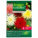 Bild 3 von Finest Garden Blumenzwiebel-Mischung
