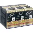 Bild 1 von Cesar Multipack Landragout 24x150g