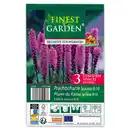 Bild 4 von Finest Garden Blumenzwiebeln winterharte Stauden