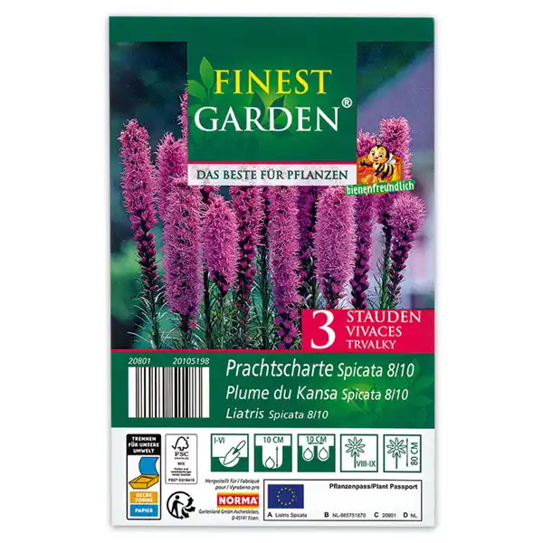 Bild 4 von Finest Garden Blumenzwiebeln winterharte Stauden