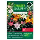 Bild 2 von Finest Garden Blumenzwiebel-Mischung