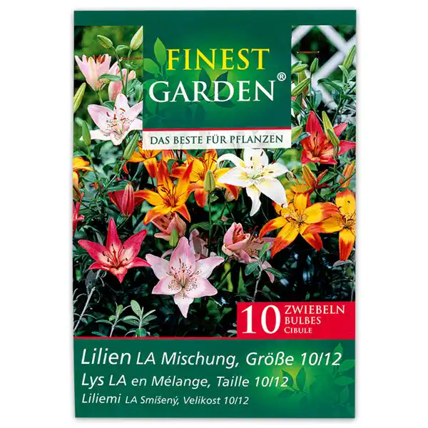 Bild 2 von Finest Garden Blumenzwiebel-Mischung