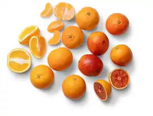 Span. Saftorangen, Saftmandarinen, Saftblutorangen oder Saftgrapefruit rot, 1,5-kg-Netz