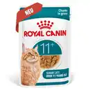 Bild 1 von ROYAL CANIN Nassfutter Katze, Senior Ageing 11+, Sauce 12x85 g