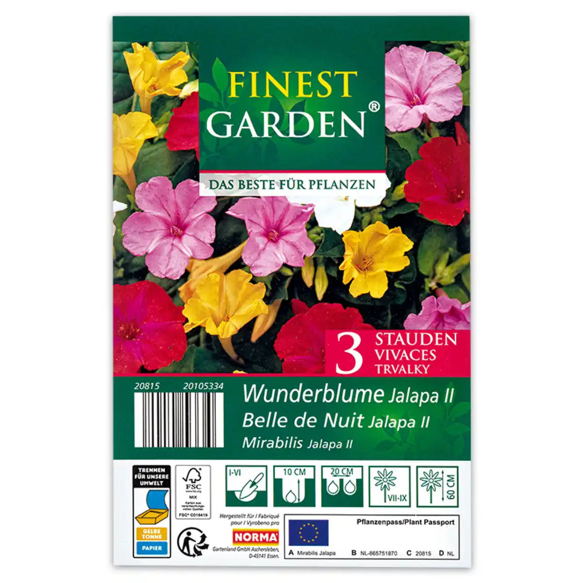 Bild 2 von Finest Garden Blumenzwiebeln winterharte Stauden