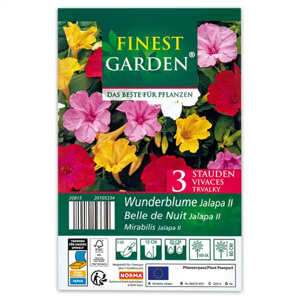 Bild 2 von Finest Garden Blumenzwiebeln winterharte Stauden