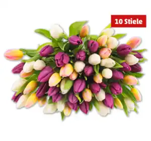 Tulpen „Hot & Fresh“*