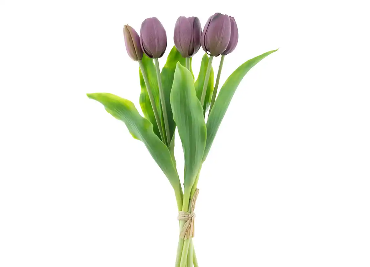 Bild 1 von Tulpenstrauß Silikon