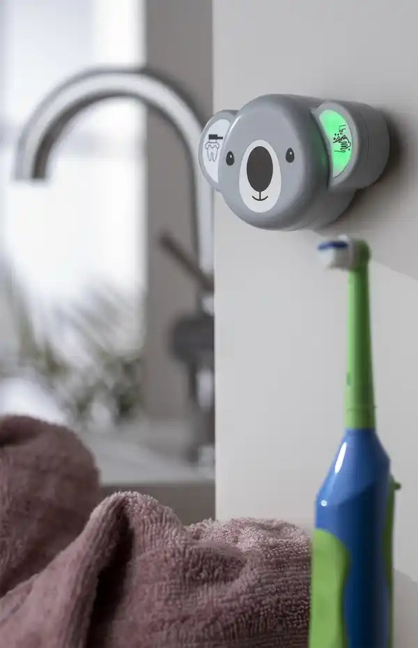 Bild 2 von IDEENWELT Zahnputz- und Handwaschtimer Koala