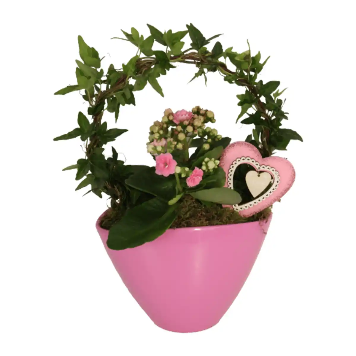 Bild 2 von GARDENLINE Efeubogen in Keramik