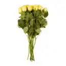 Bild 4 von GARDENLINE Fairtrade-Rosen