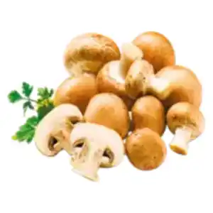 Kulturchampignons braun