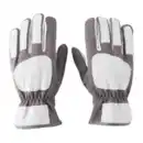 Bild 3 von GARDENLINE Leder-Gartenhandschuhe