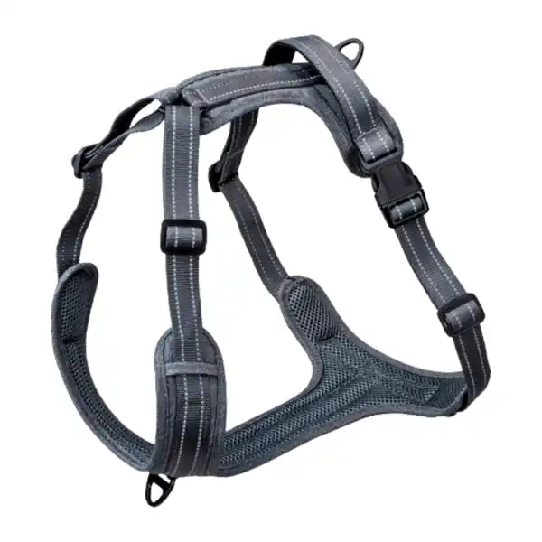 Bild 3 von ROMEO Hundeleine / -geschirr