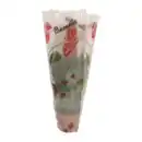 Bild 4 von GARDENLINE Guzmanie / Vriesea