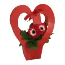 Bild 2 von GARDENLINE Blühpflanze