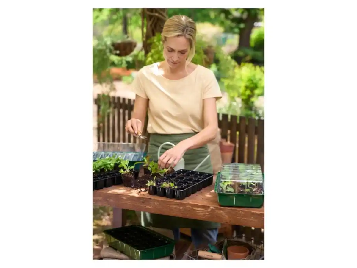 Bild 2 von PARKSIDE® Anzuchtkasten-Set, 12-teilig