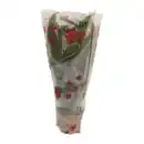 Bild 2 von GARDENLINE Guzmanie / Vriesea