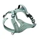 Bild 4 von ROMEO Hundeleine / -geschirr