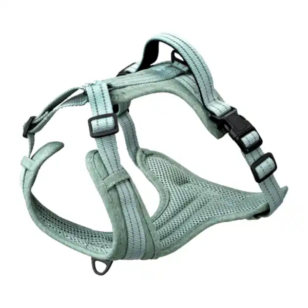 Bild 4 von ROMEO Hundeleine / -geschirr