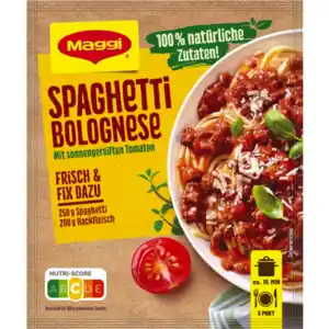 Maggi Fix, Herzensküche oder Food Travel Würzpaste